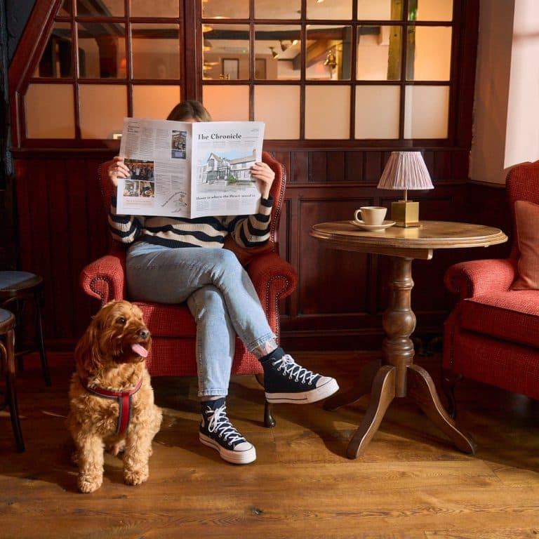 Cover Image for Celebrating National Pet Month with us at The Potter's Heron